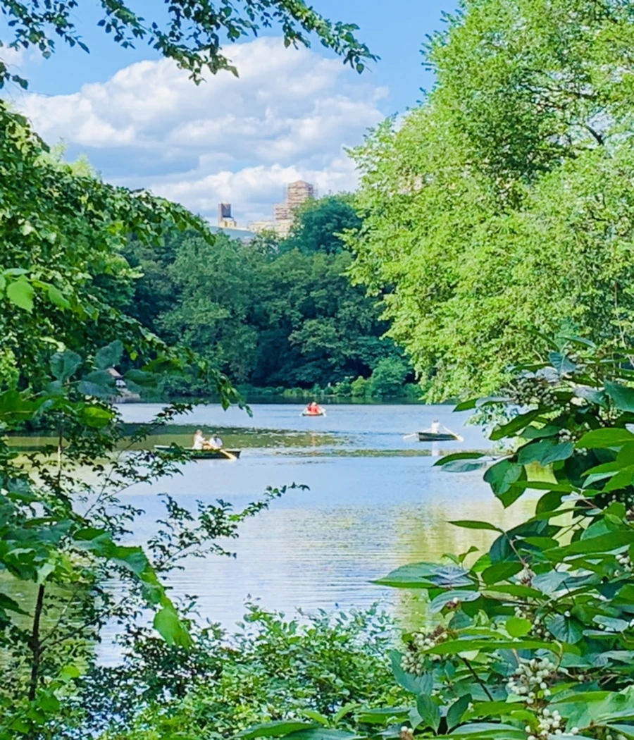 IMG_6401.jpg?type=w966