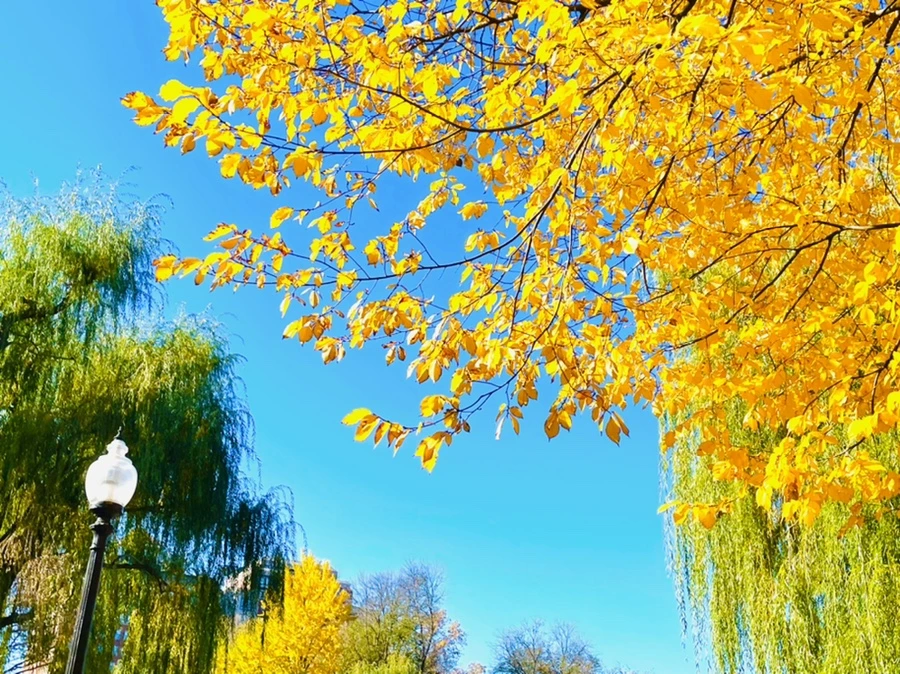 IMG_2581.jpg?type=w966