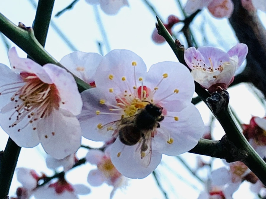 IMG_4177.jpg?type=w966