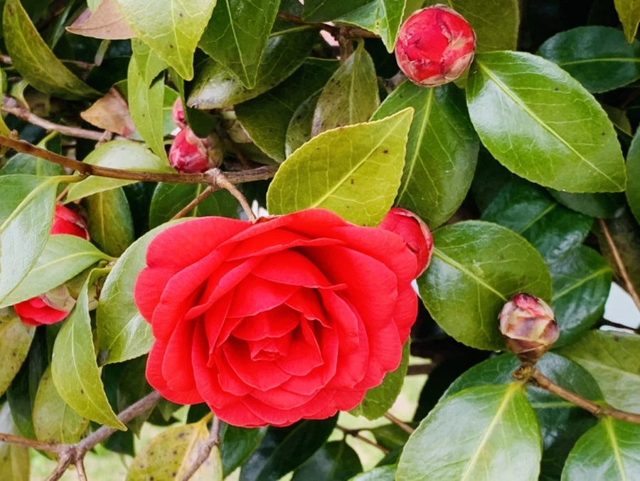 IMG_5916.jpg?type=w966