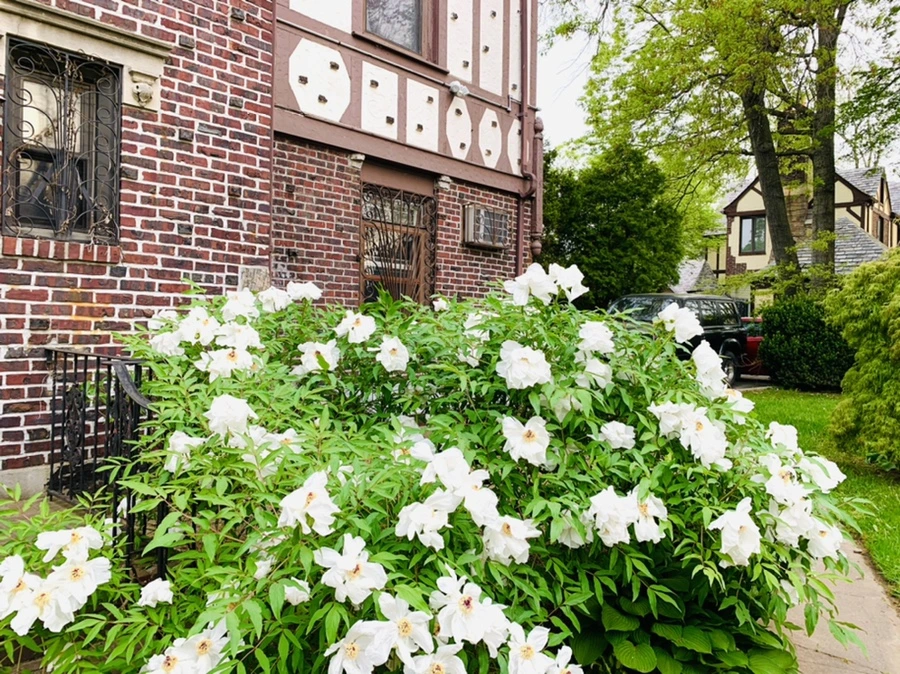 IMG_8937.jpg?type=w966