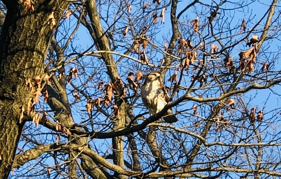 IMG_4845.jpg?type=w966