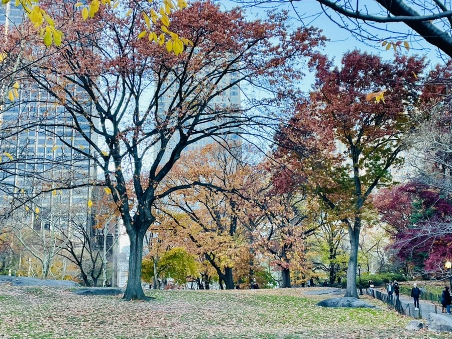 IMG_5071.jpg?type=w966