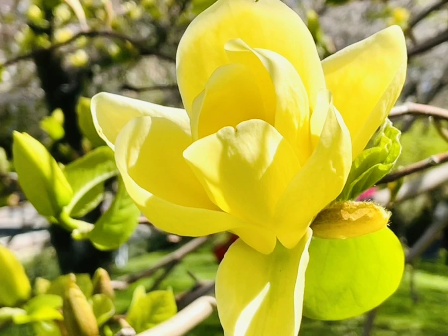 IMG_2030.jpg?type=w966