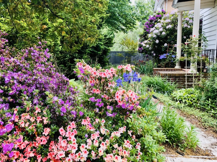 IMG_7598.jpg?type=w966