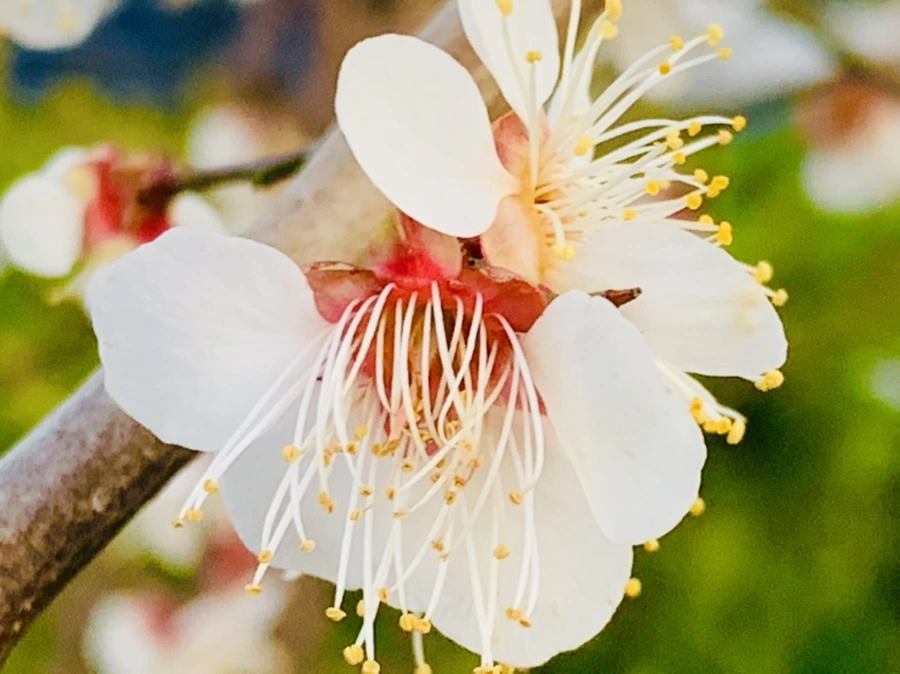 IMG_2846.jpg?type=w966