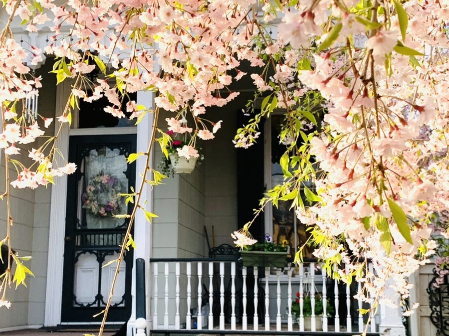 IMG_3681.jpg?type=w966