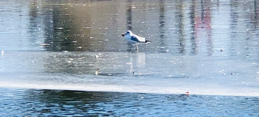 IMG_5589.jpg?type=w966