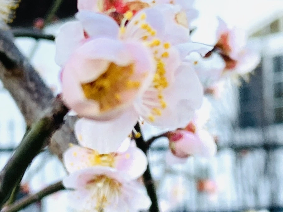 IMG_0887.jpg?type=w966