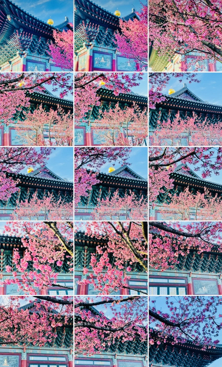 IMG_6216.jpg?type=w966