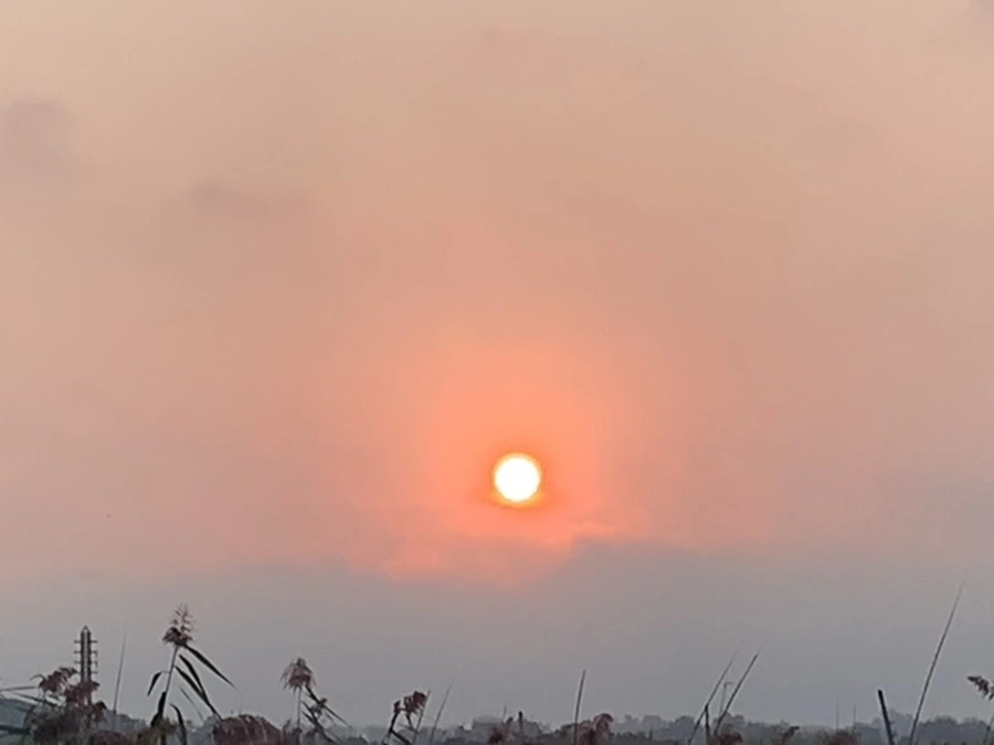 IMG_1146.jpg?type=w966