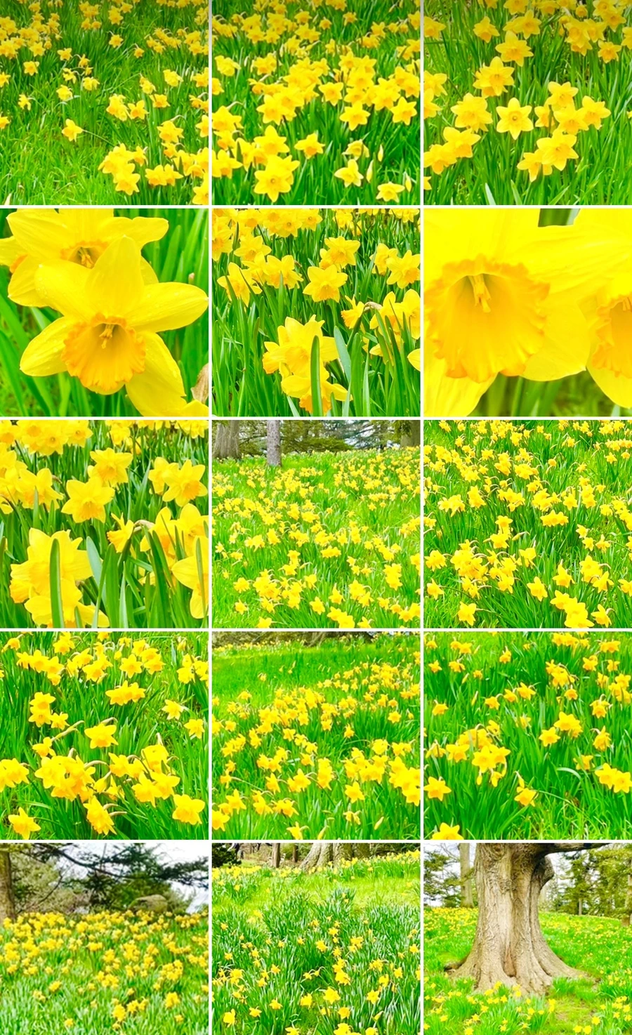 IMG_7596.jpg?type=w966