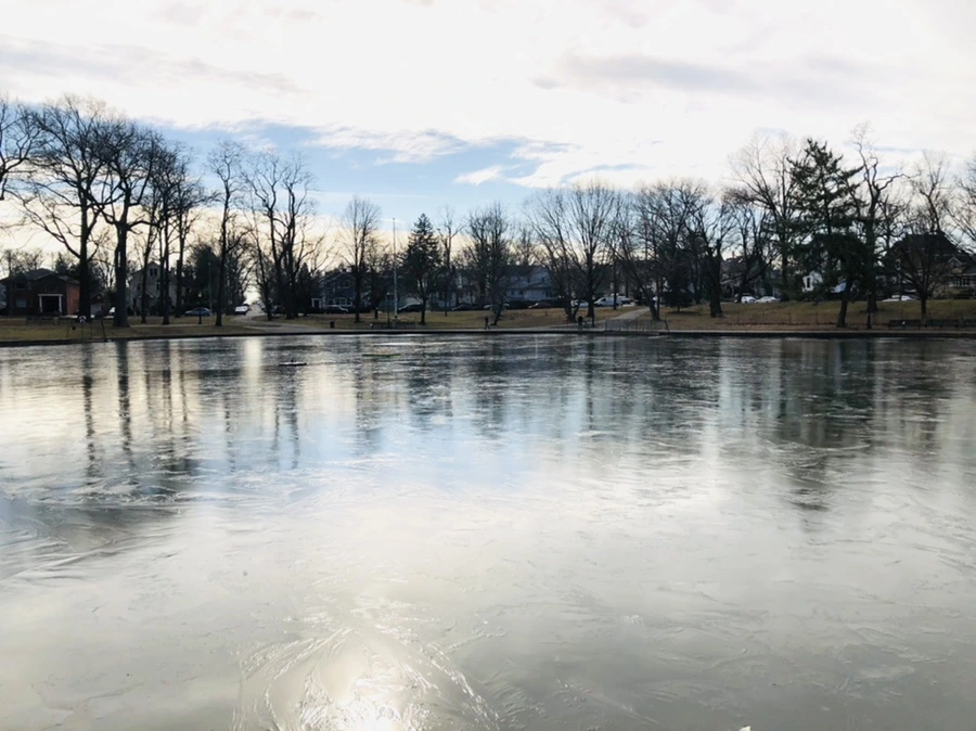 IMG_4753.jpg?type=w966