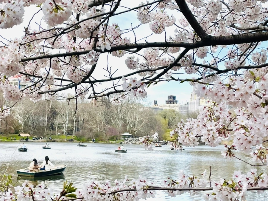 IMG_9848.jpg?type=w966