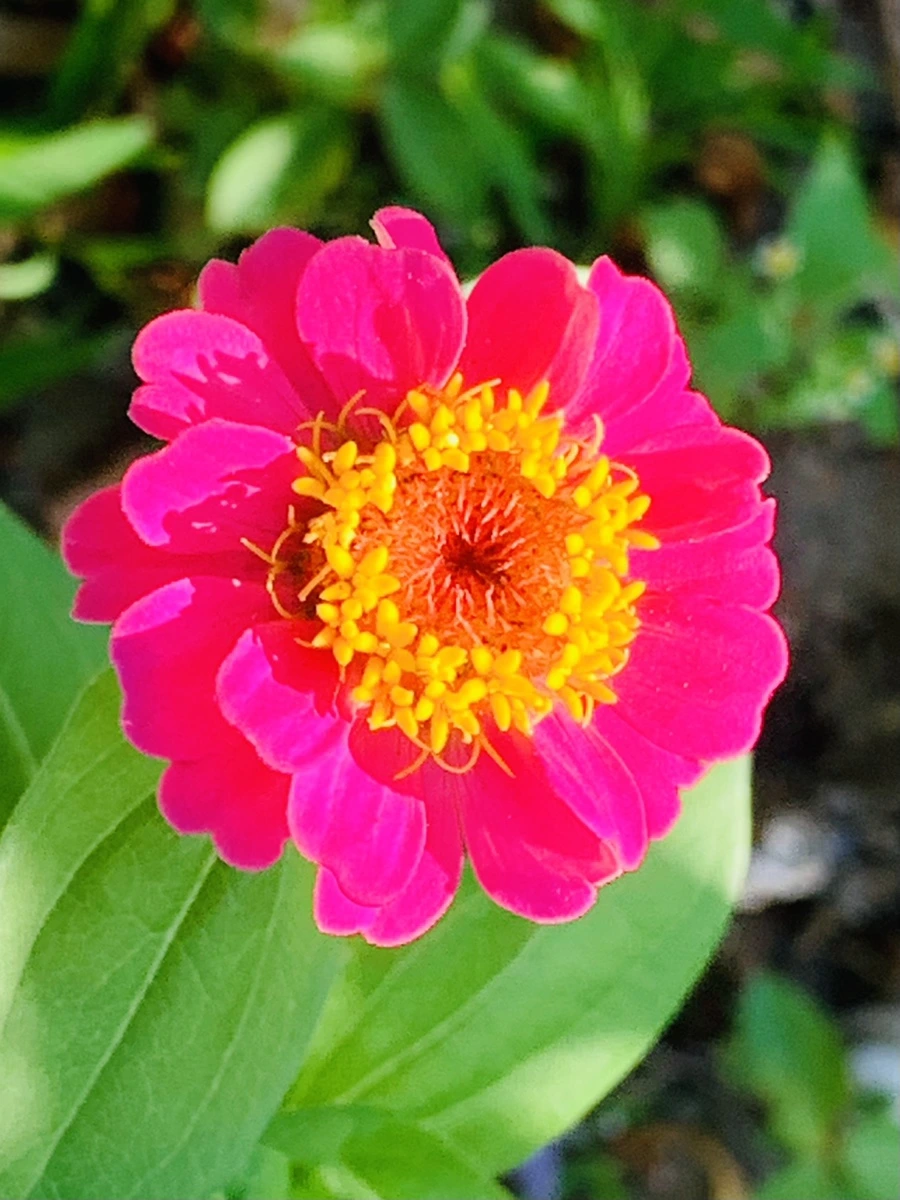 IMG_8729.jpg?type=w966