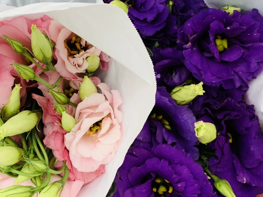 IMG_3305.jpg?type=w966