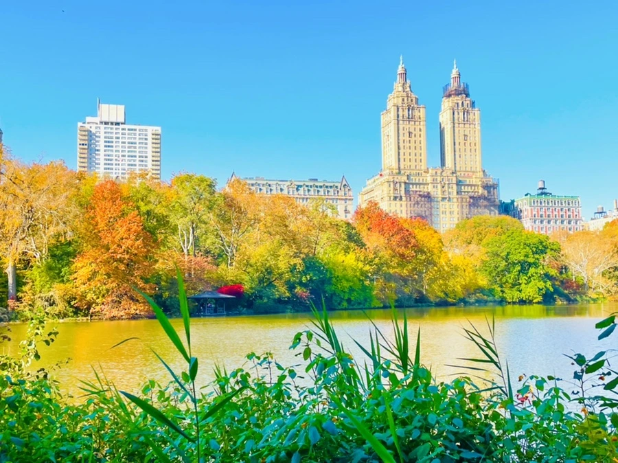 IMG_1666.jpg?type=w966