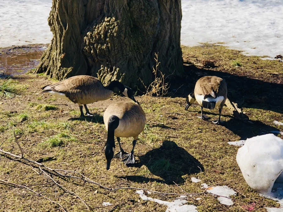 IMG_4871.jpg?type=w966