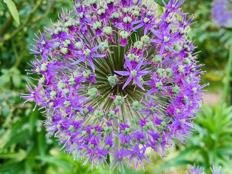 IMG_4102.jpg?type=w966