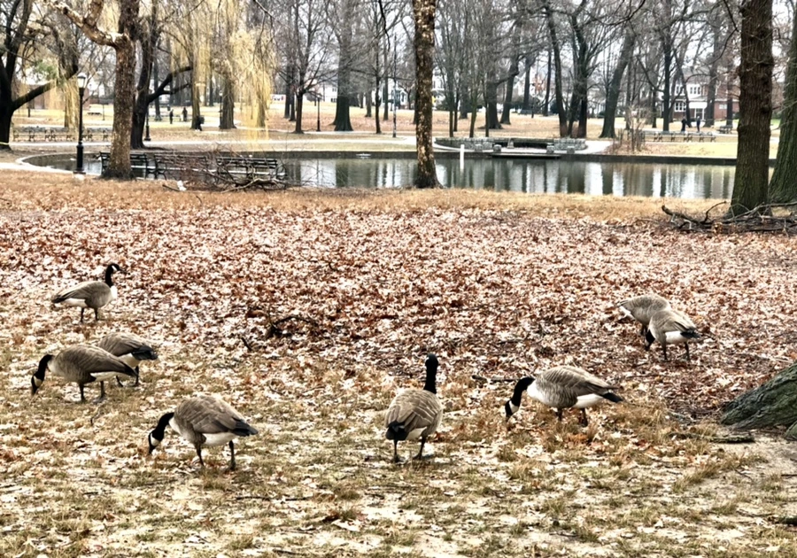 IMG_3399.jpg?type=w966