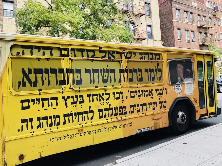 IMG_8527.jpg?type=w966