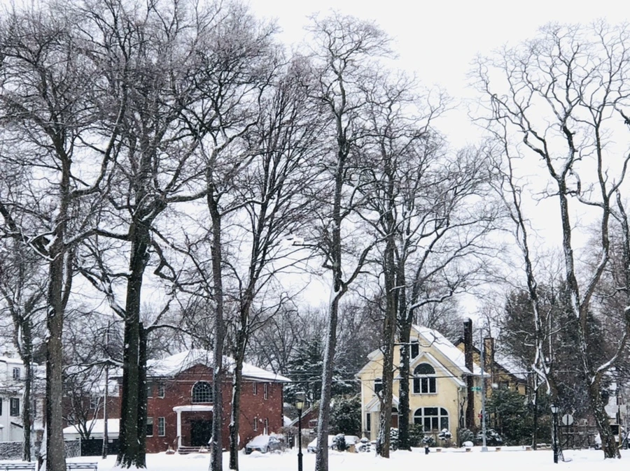 IMG_3661.jpg?type=w966