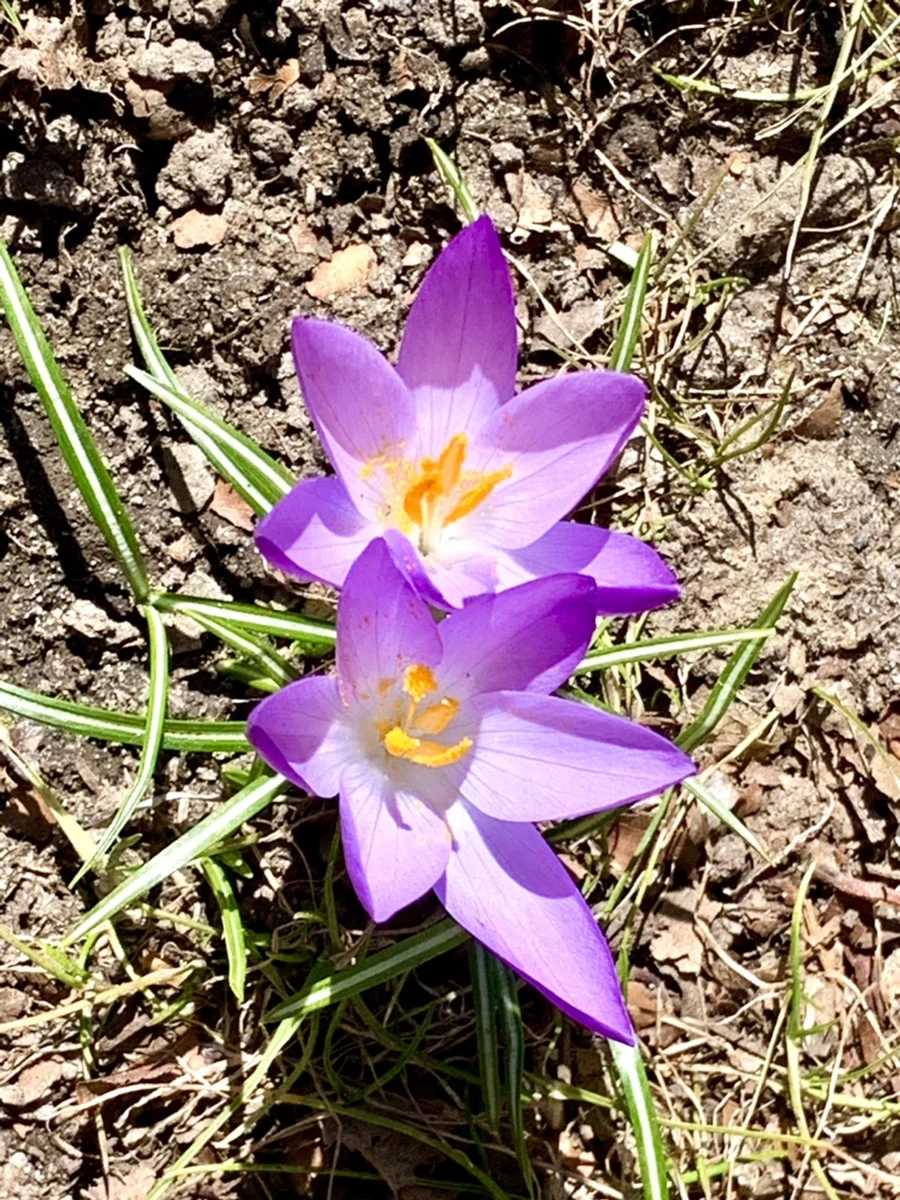 IMG_8222.jpg?type=w966