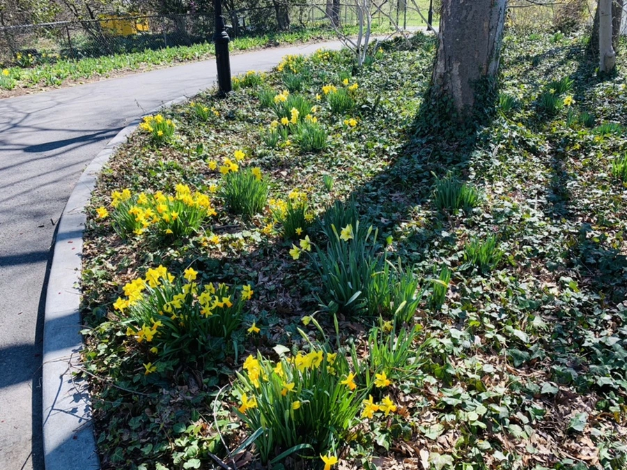 IMG_5727.jpg?type=w966