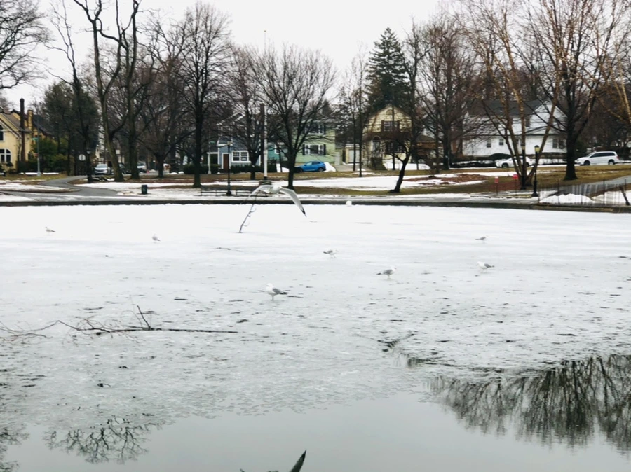 IMG_5518.jpg?type=w966