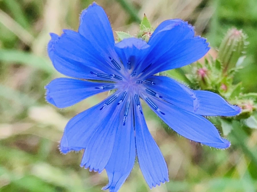 IMG_3753.jpg?type=w966