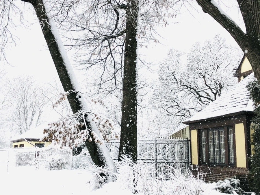 cxzE1J-3wVFBM9isBtYNF49Zc5I