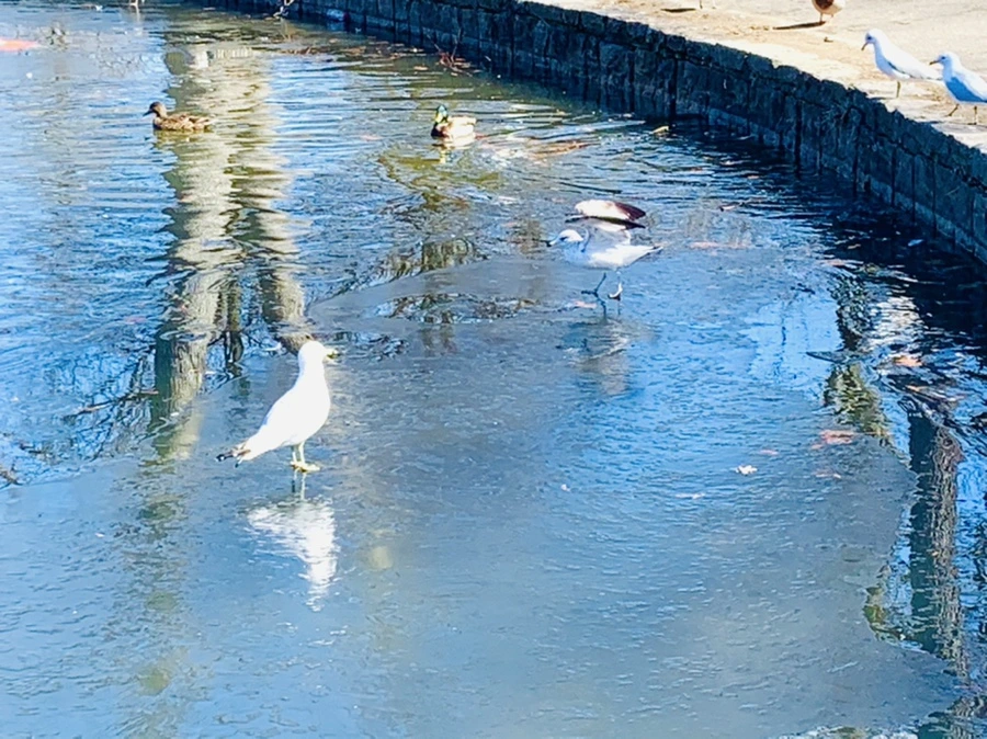 IMG_8292.jpg?type=w966