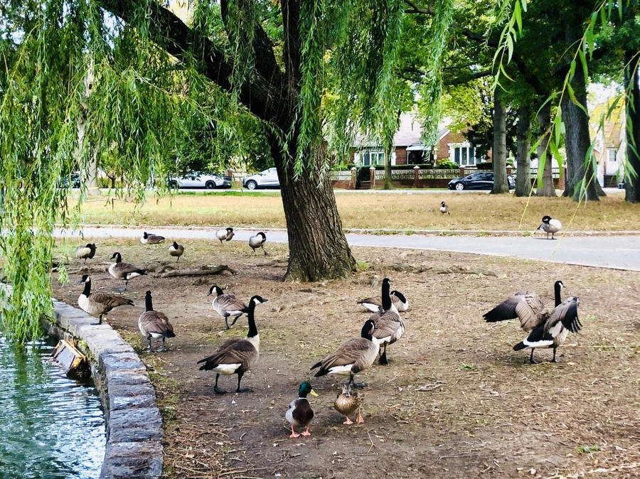 IMG_2147.jpg?type=w966