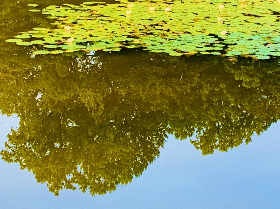 IMG_0750.jpg?type=w966