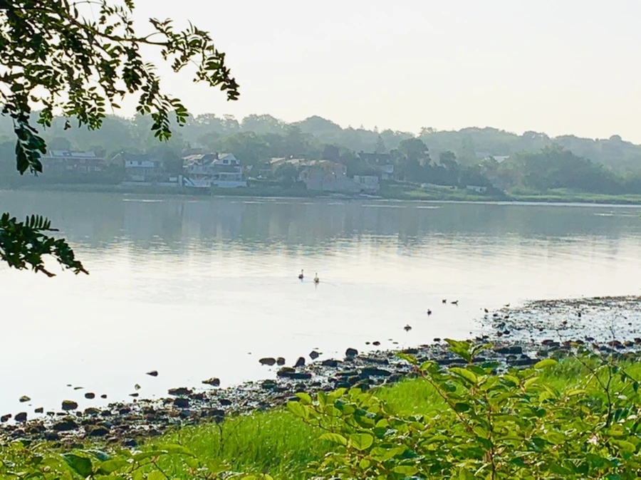 IMG_4375.jpg?type=w966