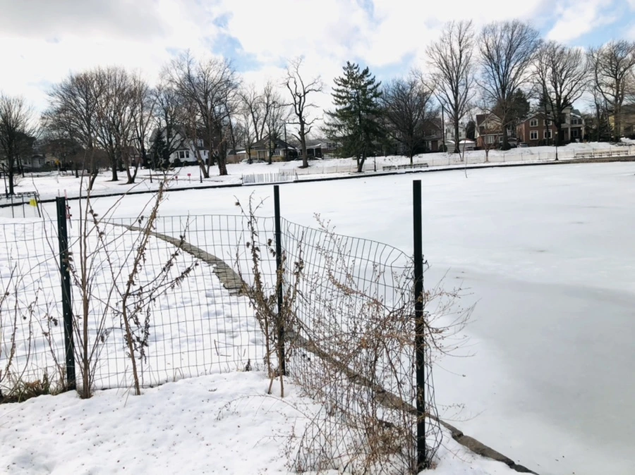 IMG_2914.jpg?type=w966