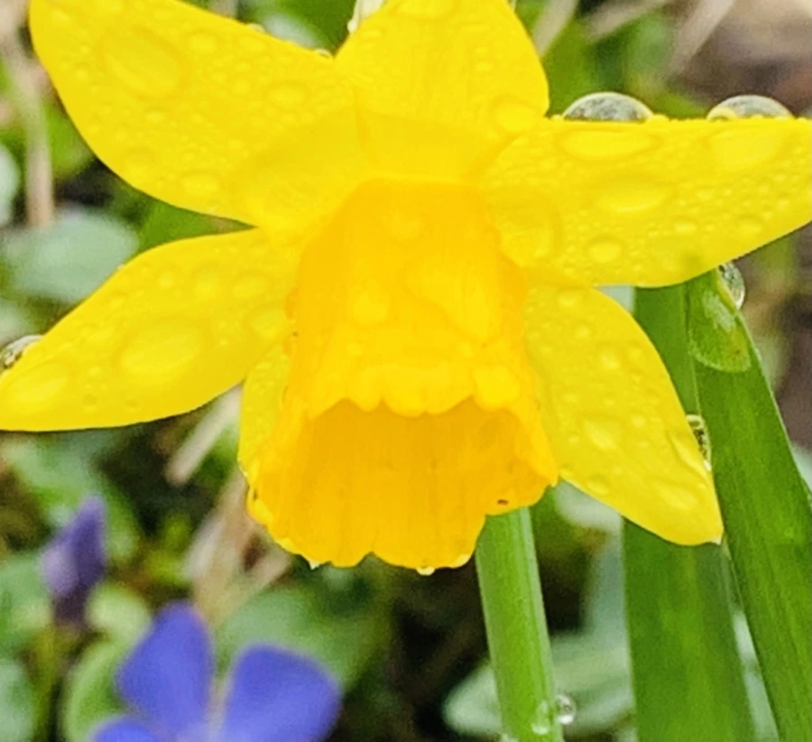 IMG_3744.jpg?type=w966