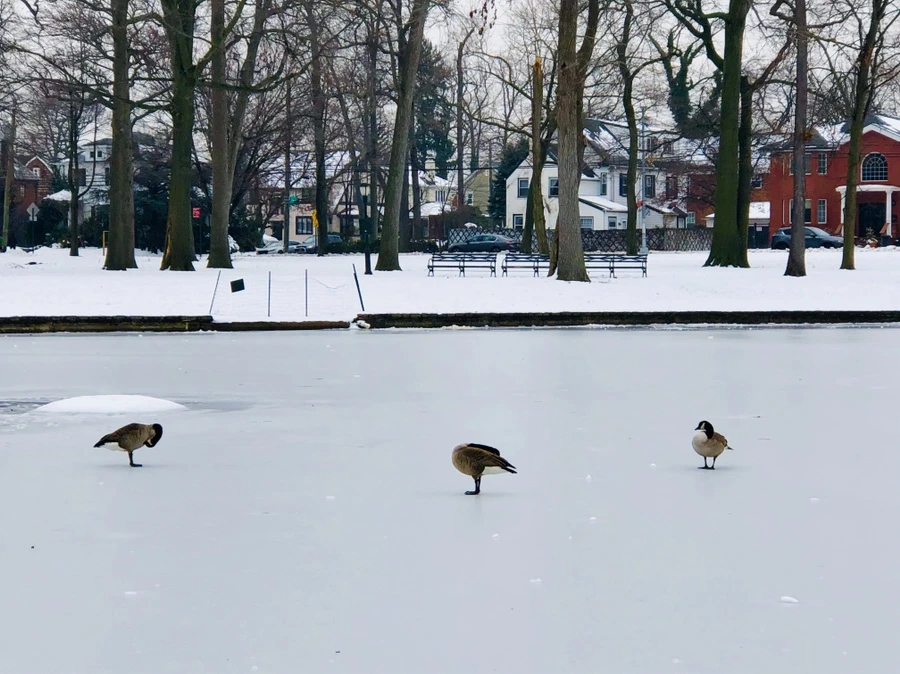 IMG_7560.jpg?type=w966