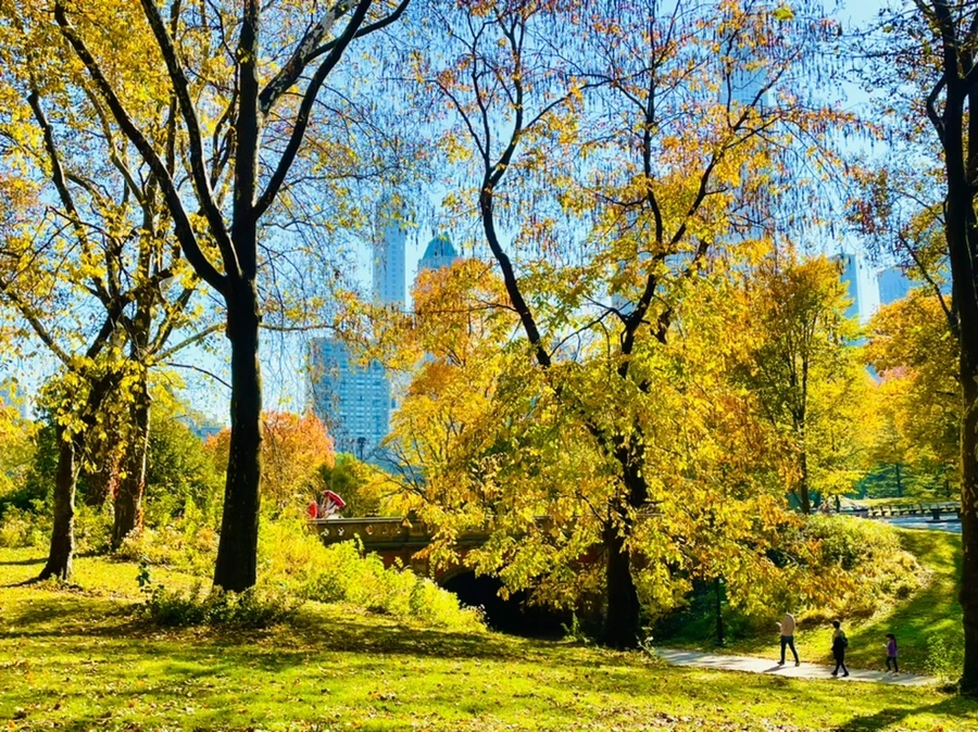 IMG_1536.jpg?type=w966