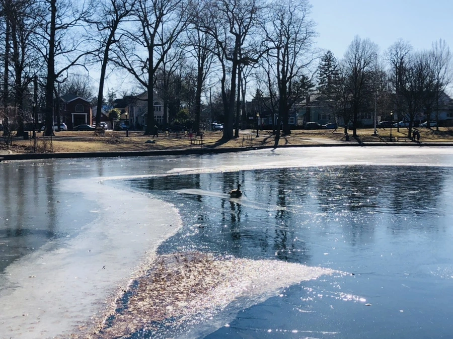 IMG_7926.jpg?type=w966