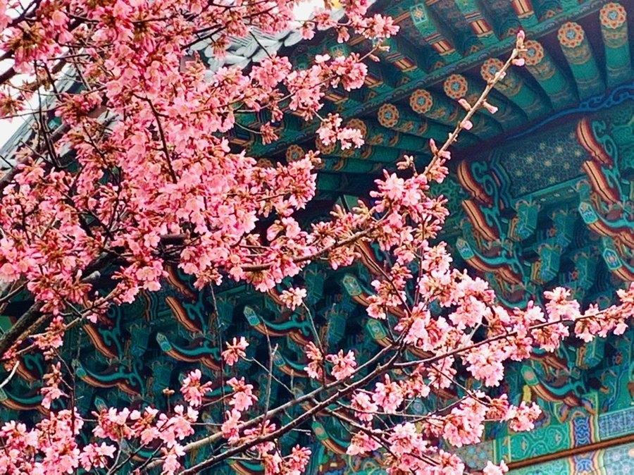 IMG_5253.jpg?type=w966