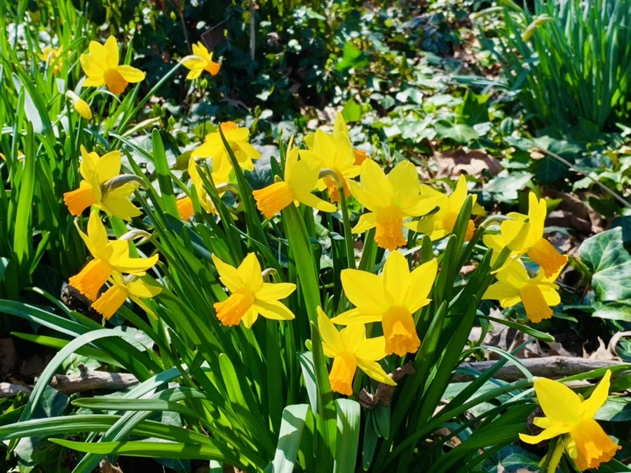 IMG_5731.jpg?type=w966