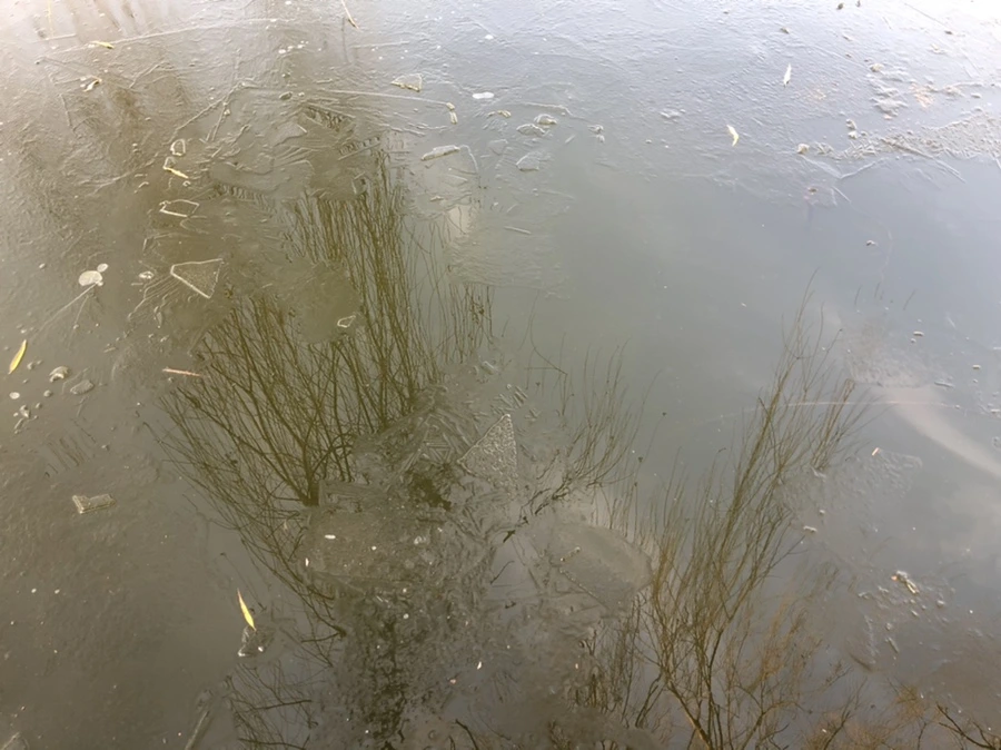 IMG_2548.jpg?type=w966