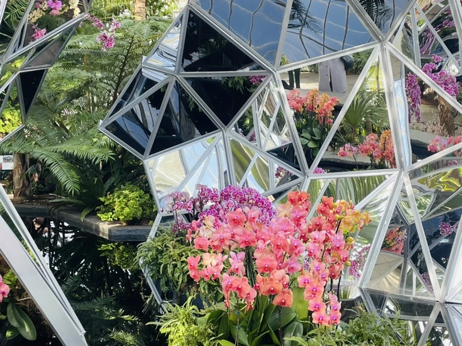 IMG_4436.jpg?type=w966