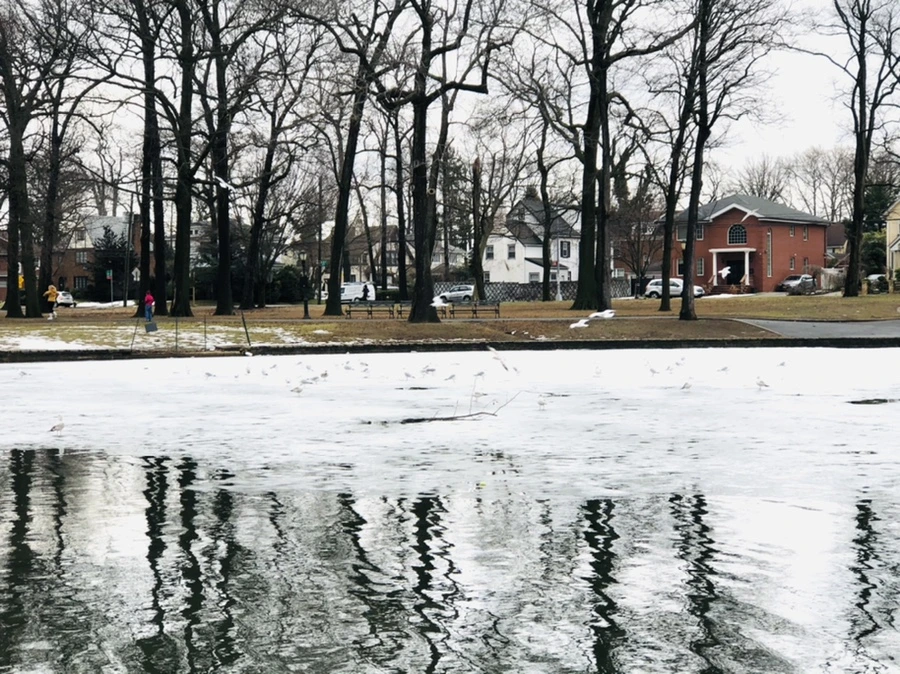 IMG_6465.jpg?type=w966