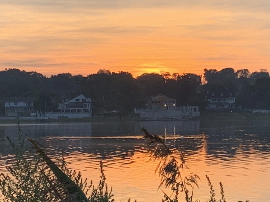 IMG_6802.jpg?type=w966