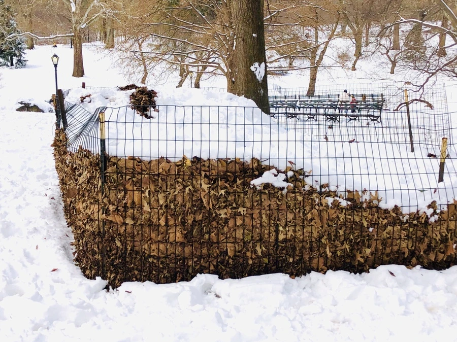 IMG_7267.jpg?type=w966