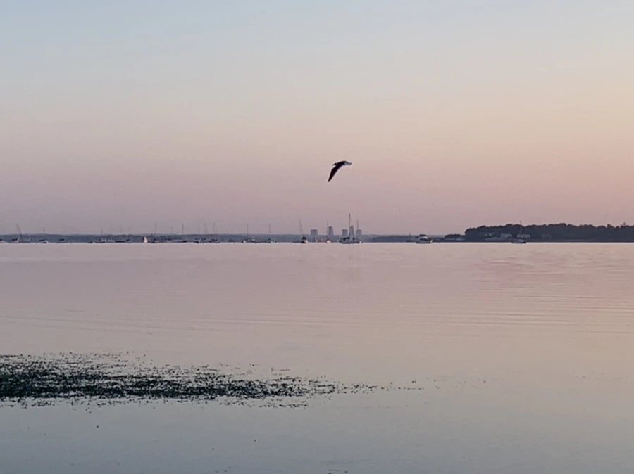 IMG_0145.jpg?type=w966