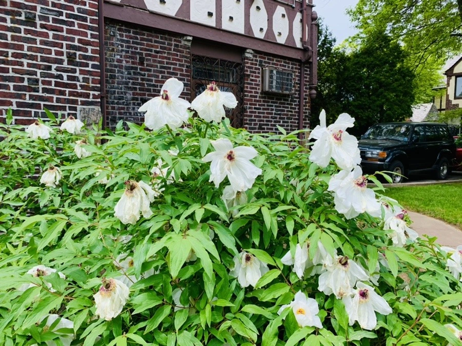 S2StKaM9KxskAcs9kVZ6V8euFec