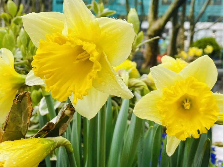 IMG_8680.jpg?type=w966